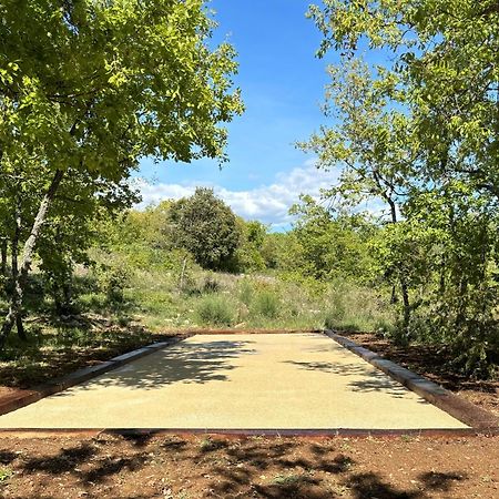 Bastide De Viens - Vue Luberon, Piscine Chauffee, Boulodrome Villa Ngoại thất bức ảnh